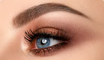 Air Teddy Brows