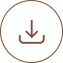 Downloadable Eyebrow Study Resources