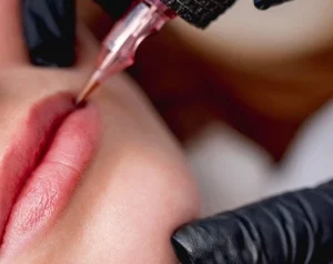 Lip Course